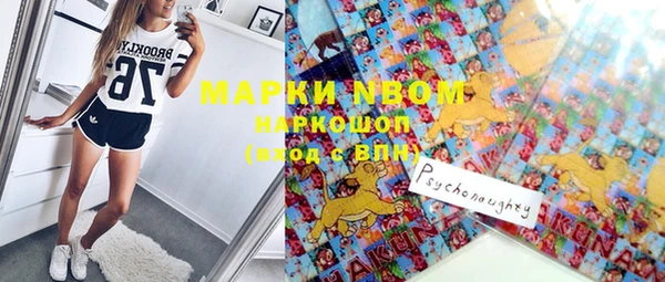 индика Армянск