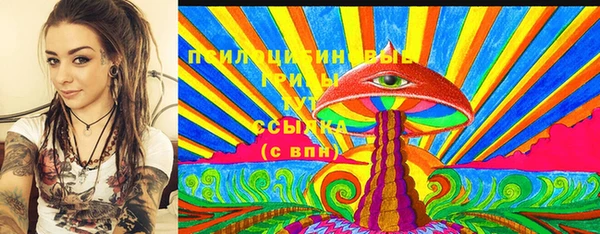 индика Армянск