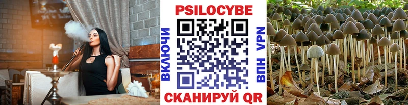 цены наркотик  Владивосток  Галлюциногенные грибы Cubensis 
